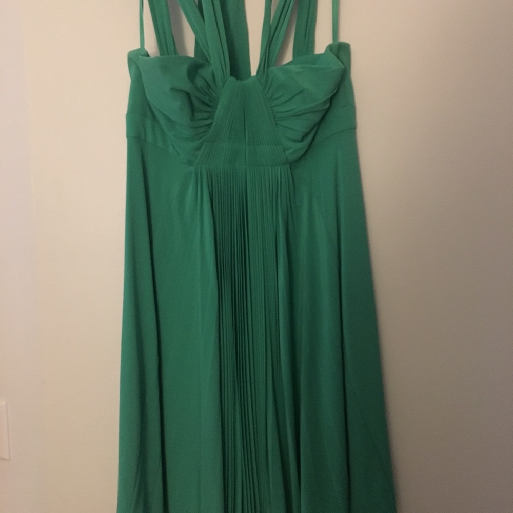 BCBG Green Chiffon Dress